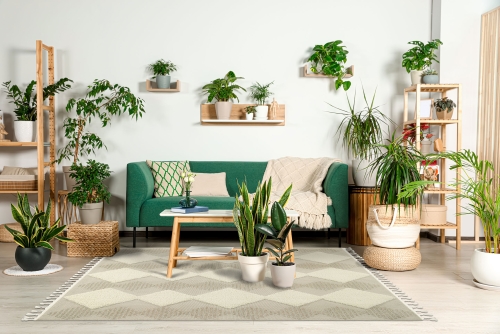 Dywan z frędzlami 140x200 cm Boho Loft Beżowy Do Salonu BOHO DT51A white/l.beige            