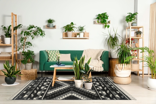 Dywan z frędzlami 160x230 cm Boho Loft Czarny Do Salonu BOHO DZ62A white/black