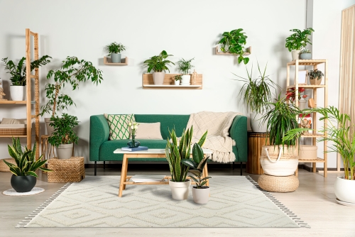 Dywan z frędzlami 160x230 cm Boho Loft Biały Do Salonu BOHO DZ99A white/white